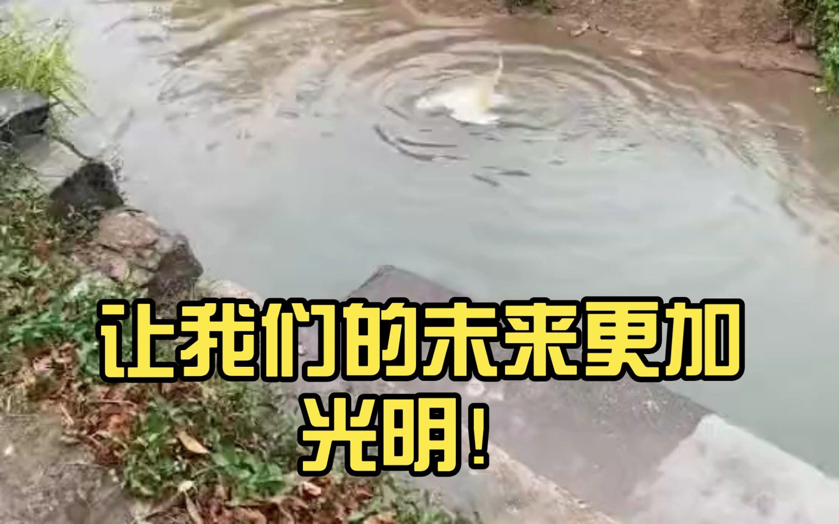 捷克胜过爱尔兰，出线希望更加光明