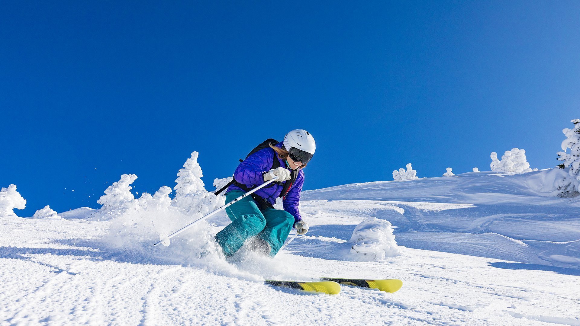 2026世界杯A组惊天冷门，保加利亚碾压巴西，范戴克铸就钢铁长城，控球革命颠覆桑巴王朝